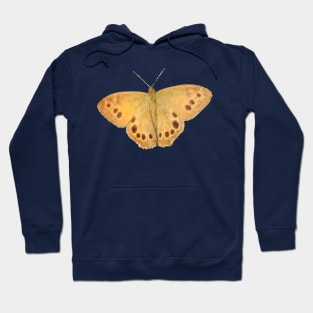 Northern Pearly-Eye Butterfly Hoodie